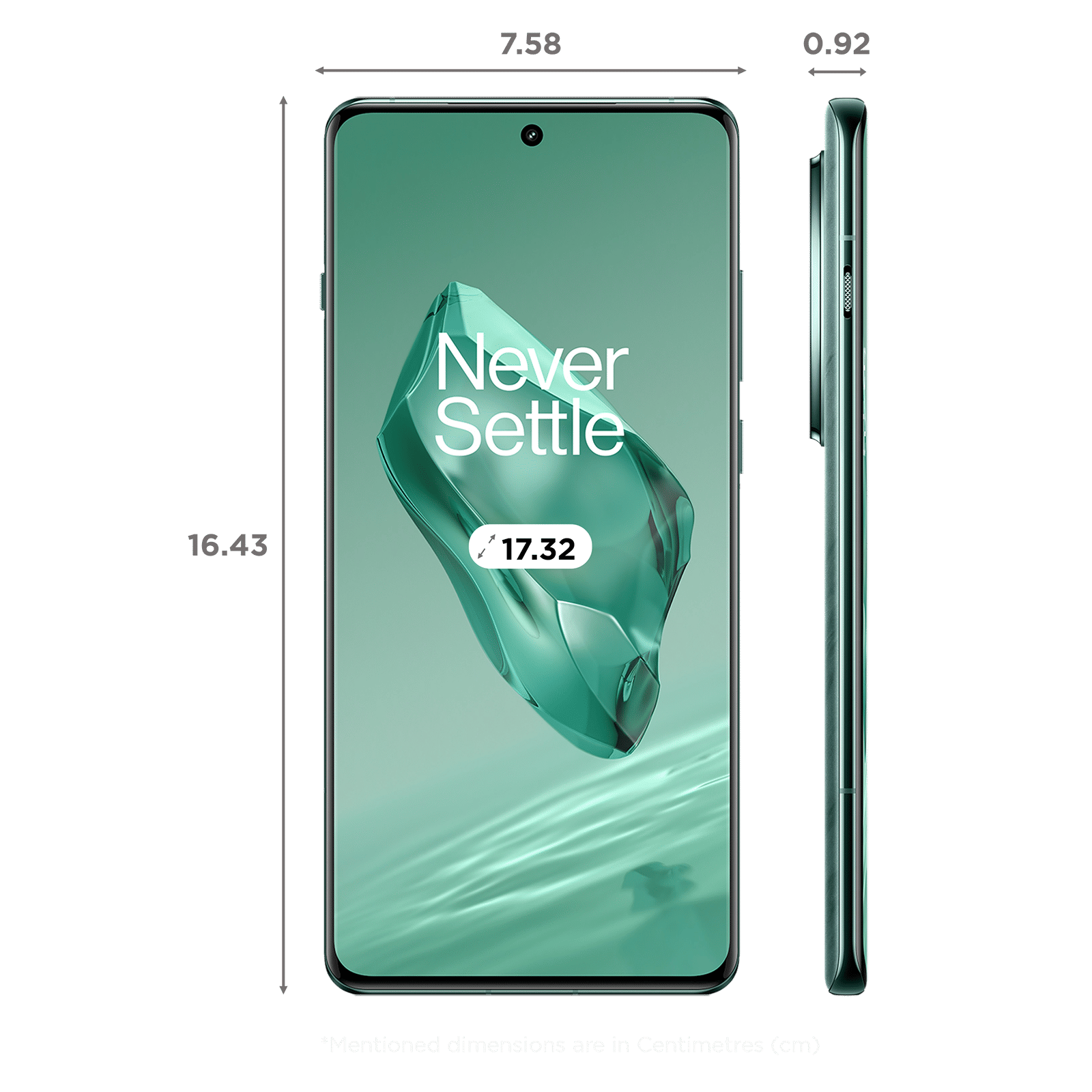 Buy OnePlus 12 5G (12GB RAM, 256GB, Flowy Emerald) online at best